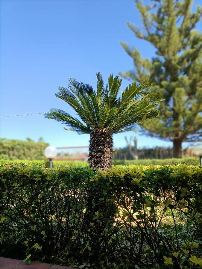 La Casa Al Sole Villa Marina di Sorso Eksteriør billede