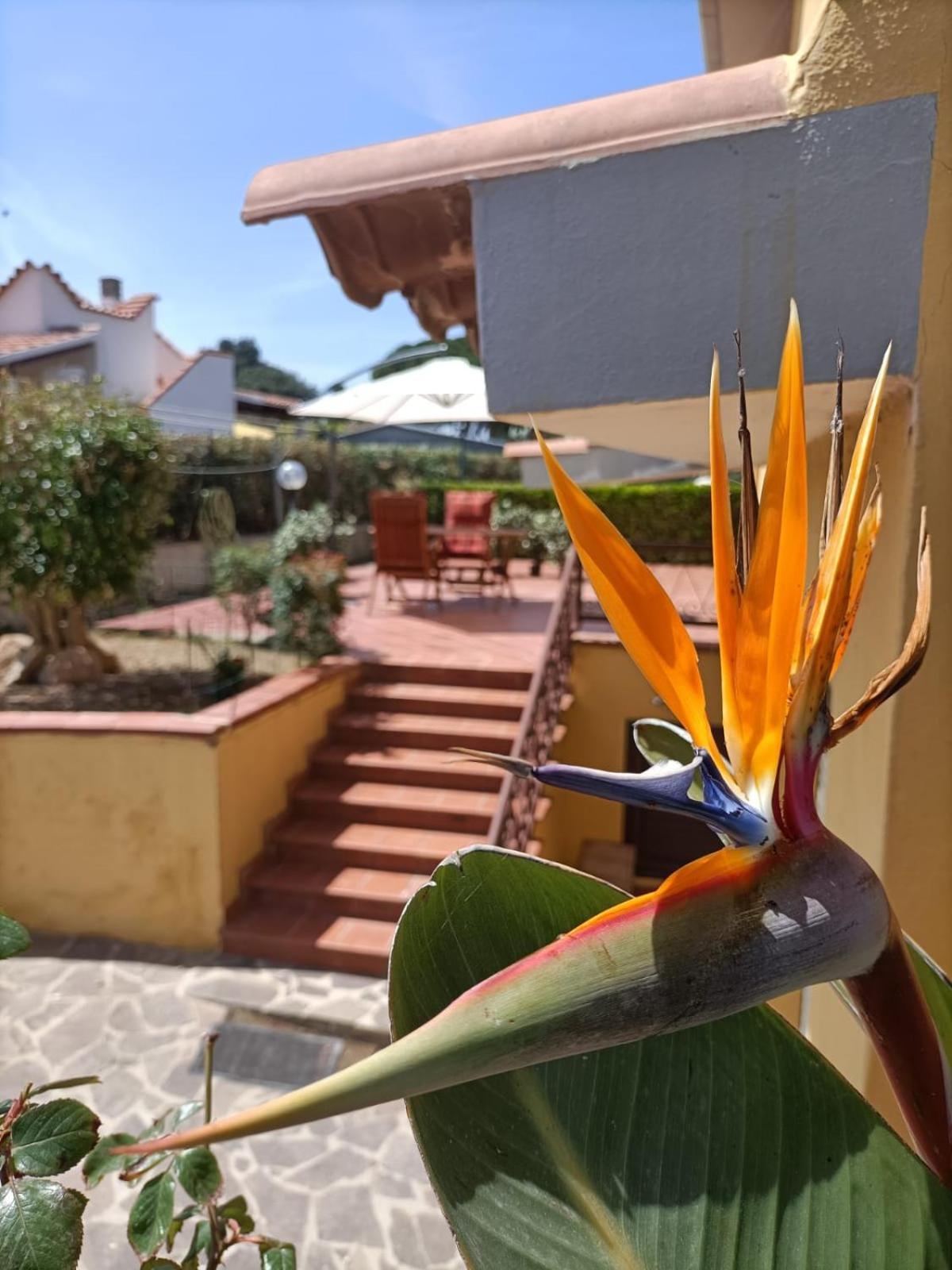 La Casa Al Sole Villa Marina di Sorso Eksteriør billede